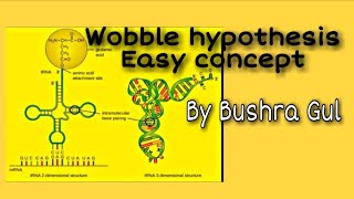 Wobbles hypothesis  Easy concept  By Bushra Gul [upl. by Estella566]