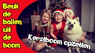 Kerstliedje Beuk de ballen uit de boom  kerstboom opzetten [upl. by Polish]