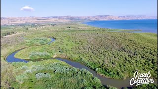 Droning the JORDAN RIVER into the SEA OF GALILEE [upl. by Halverson]