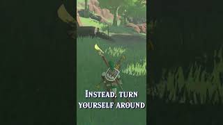 How to Enter Korok Forest in Tears of the Kingdom [upl. by Judye]