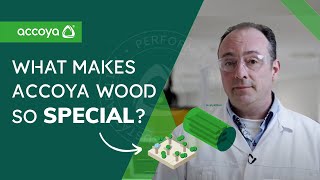 What makes Accoya Wood so special  Accoya Wood [upl. by Atul]