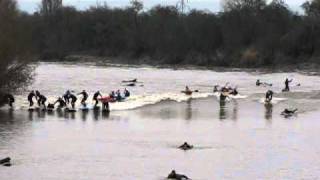 Severn Bore 2011 [upl. by Valora]