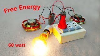 Electricity Engineers Free Energy Generator With Speaker Magnet And Copper Wire [upl. by Ezirtaeb924]