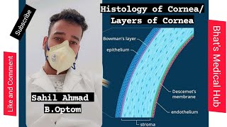 Histology of Cornea  Layers of Cornea  Microscopic Structure of Cornea  Anatomy of Cornea eyes [upl. by Felecia]