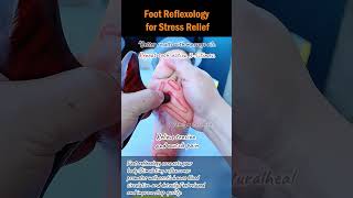 Foot Reflexology for Stress Relief [upl. by Hacker]