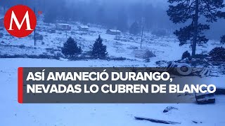 Municipios de Durango amanecen nevados [upl. by Wilkinson186]