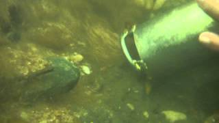 3 inch Proline Gold Dredge  Breaking into Old HardPack on Decomposing Bedrock in N Georgia [upl. by Dine]