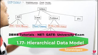 117 Hierarchical Data Model In DBMS In Hindi  Types Of Data Models In DBMS In Hindi [upl. by Ephrayim]