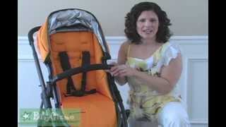 Baby Gizmo UPPAbaby VISTA Review [upl. by Martin]