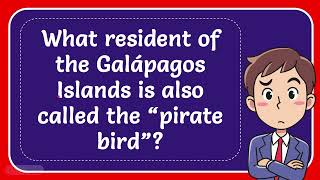 What resident of the Galápagos Islands is also called the “pirate bird” [upl. by Boykins]