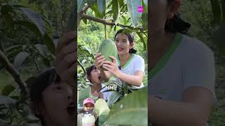 mangga raksasashortsvideos dubbing [upl. by Phebe684]