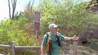 Kayaking the Wareham River [upl. by Anoy]