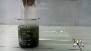 SEPARATE MIXTURE OF LEAD AND CADMIUM IONS BY PAPER CHROMATOGRAPHY  CHEMISRTY PRACTICAL [upl. by Kindig]