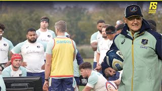 Wallabies get to to work ahead of England clash  Australia Training [upl. by Cormier]