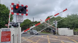 Porthmadog Level Crossing [upl. by Hayilaa]