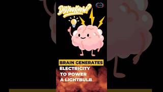 Did you know your brain generates enough electricity to power a lightbulb sciencefacts facts [upl. by Schroeder]