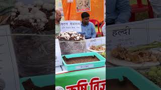 Kisan 2024 krishi Mela [upl. by Aynik]