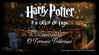 Harry Potter e o Cálice de Fogo  Capitulo 12  O Torneio Tribruxo [upl. by Riehl]