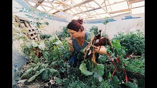 Swimming Pool Turned Into GARDEN Paradise [upl. by Nikita177]