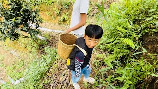 Mon làm AKay đeo gù lên rẫy hái quả Hồng 😅 tại “Đèo Mây Farm“ Đà Lạt [upl. by Thedric]