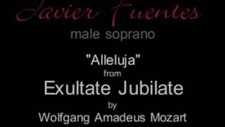 Mozart  Alleluja  Javier Fuentes  male soprano [upl. by Sualokin]