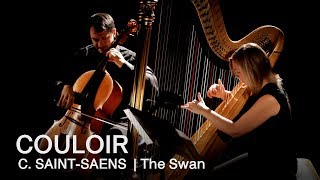 Camille SaintSaëns The Swan  Couloir [upl. by Helgeson]