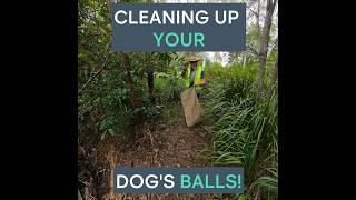 Plogging to Clean Up Your Dogs Balls [upl. by Goodden]