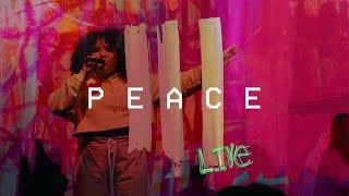 P E A C E Live at Hillsong Conference  Hillsong Young amp Free [upl. by Ociredef498]