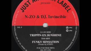 NZo amp DJ Invincible  Trippin On Sunshine [upl. by Ytoc596]