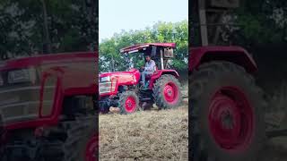 lal Ghodo ❤️‍🔥 mahindra Yuvo tech Plus 4wd 4x4 tractor 2025 mahindratractor mahindratractors [upl. by Lemaceon827]