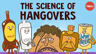 How does alcohol cause hangovers  Judy Grisel [upl. by Clardy704]