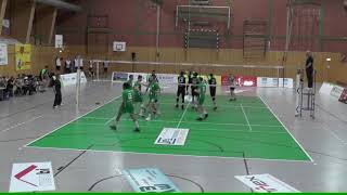 Steven Tarquinio  Middle Blocker  20182019 Season Second Half Highlights [upl. by Pawsner]