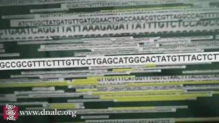 Human Genome Project Sequencing Public Project [upl. by Notgnirrac]