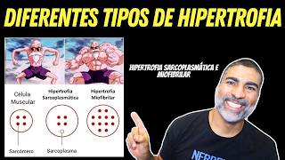 Diferentes tipos de hipertrofia muscular [upl. by Pettiford]