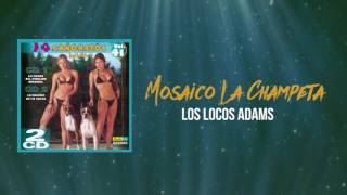 La Champeta  Los Locos Adams  Discos Fuentes [upl. by Notslah886]