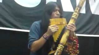 Leo Rojas live in Satun Darmstadt [upl. by Betty]