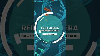 2 EXPLORANDO O REINO MONERA bacteria CIANOBACTERIA ciencia biologia PROCARIONTE [upl. by Rodenhouse]