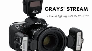 Grays Live Stream Closeup lighting with the SBR1C1 [upl. by Nolrev]