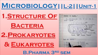 Microbiology  Structure Of Bacteria  Prokaryotes amp Eukaryotes L2Unit1 Bpharma 3rd sem [upl. by Scales]