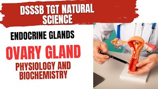 Ovary gland Physiology and Biochemistry for DSSSB TGT NATURAL SCIENCE ovary [upl. by Josephine]