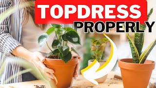 Fixing Compacted Potting Soil Without Repotting How To Top Dress A Houseplant [upl. by Tod60]