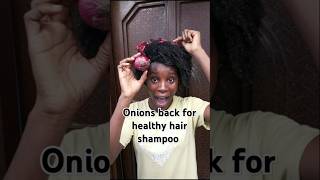 Healthy shampoo with onion back foryou haircare lovenatural shampoo hairgrowth hairhealth hai [upl. by Kcirdla]