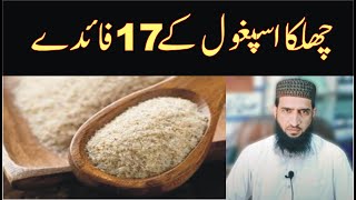 Ispaghol Ke Fayde  Psyllium Husk Benefits in Urdu Hindi Ispaghol Ke Istemal Ka Tarika Hakeem Qamar [upl. by Corrianne]