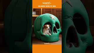 Halloween Pet Beds Cute amp Creative Beds for Your Pets [upl. by Alamat]