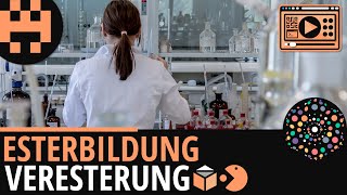 Esterbildung Veresterung│Chemie Lernvideo│Learning Level Up [upl. by Boyse]