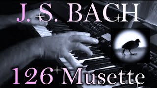 Johann Sebastian BACH Musette in D major BWV Anh 126 [upl. by Celik775]