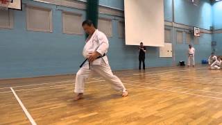 Kagawa Shihan demonstrates Heian Yondan [upl. by Nyliret312]