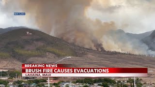 Lahaina area issuing evacuations due to brushfire [upl. by Dranrev890]