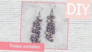 DIY sieraden maken met Kralenhoekje  Trosjes oorbellen maken [upl. by Olga2]