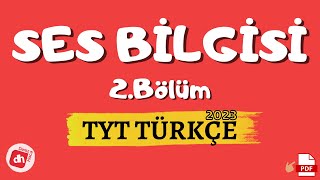 Nokta Atışı TYT TÜRKÇE Dil Bilgisini Öğren✅ [upl. by Anelej]